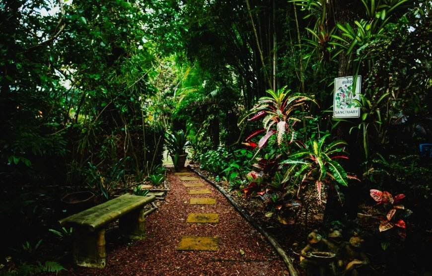 Tropical Wedding Venue, United States